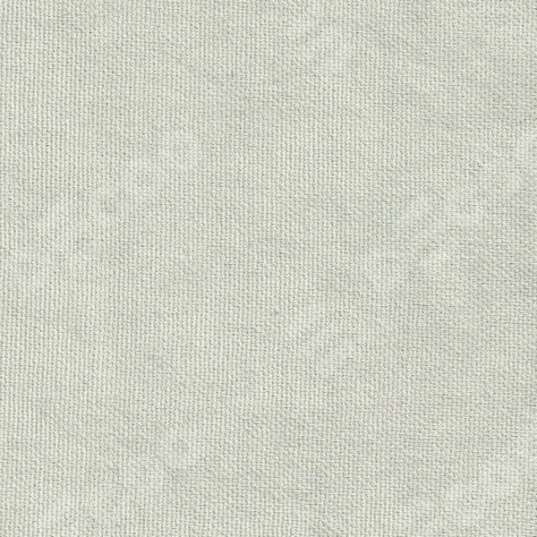 Канвас светло-серый v-371