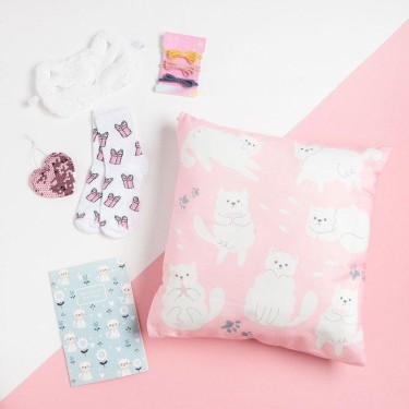 Подарочный набор «Котики» подушка-секрет, 40х40 см и аксессуары